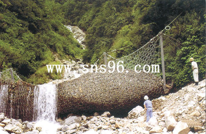 RXI-050被動(dòng)環(huán)形網(wǎng)